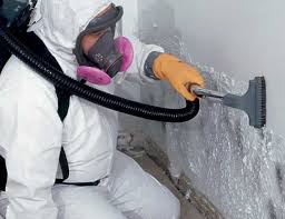 Best HVAC Mold Inspection and Cleaning  in Greenville, RI